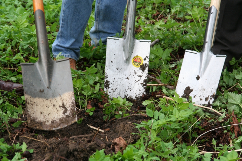 pepiniere-PEGOMAS-min_work-lawn-flower-tool-green-backyard-1103633-pxhere.com